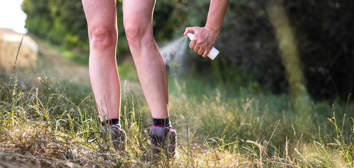 How To Get Rid of Chiggers – Mother Earth News - Vimarsana News